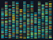 Genomic sequences. Structure of DNA genome sequence map. Human pairs of chromosomes vector illustration. Modern medicine and DNA test. Genetic sequencing data visualization, chromosome barcoding