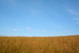 Fototapeta Sawanna - mountains brown grass and blue sky landscape