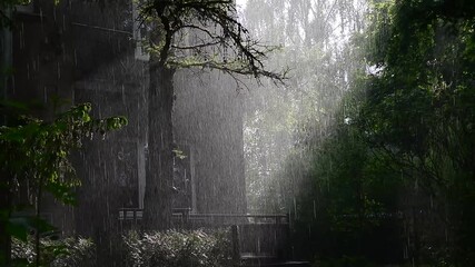 heavy rain falling. the vilnius outskirts. light and shadow, sunlight and rain.