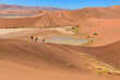 © Iuliia Sokolovska - People walking on beautiful dune of Namib desert, traveling and hiking in South Africa