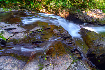 Canvas Print - Little Pigeon River 6