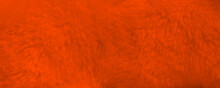 Orange Fur Background Close Up View. Banner