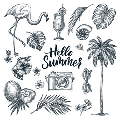 Wall Mural - Hello summer hand drawn calligraphy lettering and tropical design elements set. Vector sketch illustration