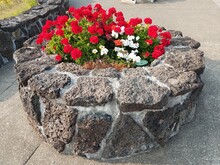 Grey Rocks With Red And White Flowers