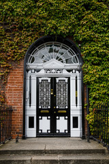 Wall Mural - Colorful georgian doors in Dublin, Ireland. Historic doors in different colors painted as protest against English King George legal reign over the city of Dublin in Ireland