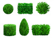 Set of ornamental plants and trees for landscaping