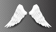 Pair of beautiful white angel wings isolated on transparent background, 3D realistic vector illustration. Spirituality and freedom