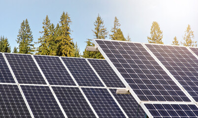 Wall Mural - solar panel collectors in forest, coniferous trees background, clear sky above, closeup detail