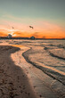 sunset on the beach, birds over the ocean 