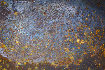 Wall Mural - rusty metal background