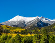 Snow covered mountains above fall foliage