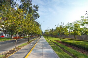 Poster - Horizontal shot of a street surrounded by green nature, buildings and houses