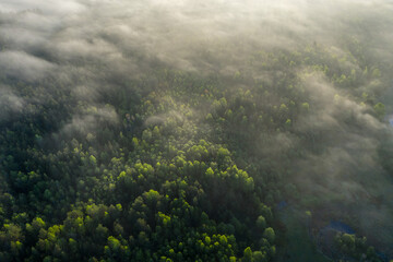 Wall Mural - Background aerial view. Summer. Misty sunset above green forest.