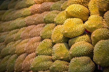 Sticker - Closeup shot of a lot of fresh durian fruits in the market