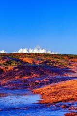 Canvas Print - Vertical shot of the mossy coast with water splashes in the background