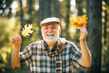 Happy senior man. Grandfather relaxing in autumn park. Senior man strolling in a park in autumn. Maple leaf on hiking trail in park.