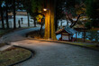© sigmaphoto - 明け方の林の中のカーブする歩道