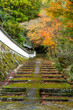 © sigmaphoto - 苔むした石段と紅葉