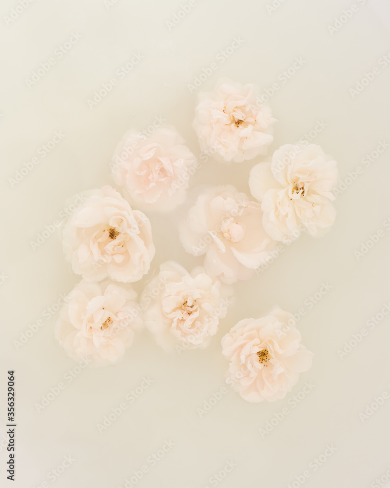 Floating White Roses White roses floating in water Stock Photo | Adobe Stock
