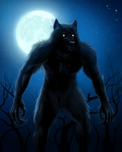 Werewolf And Moon