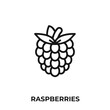 raspberries icon vector. raspberries icon vector symbol illustration. Modern simple vector icon for your design.
