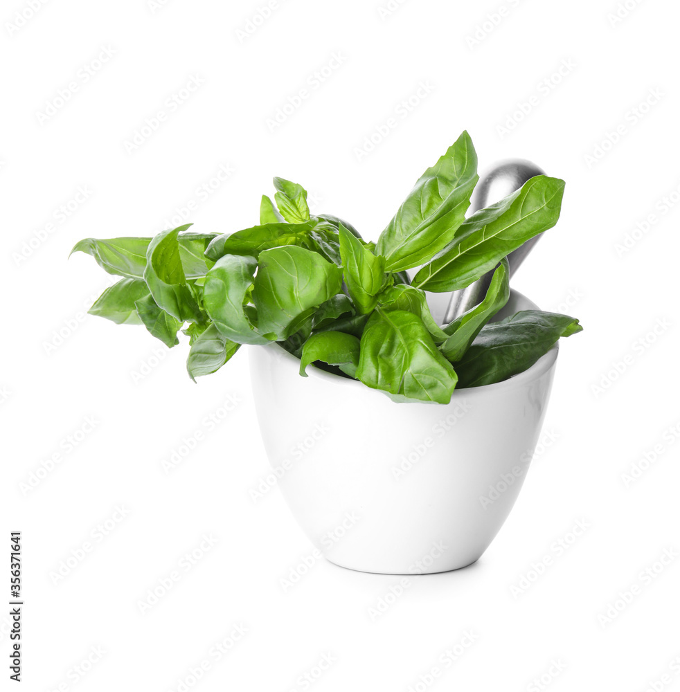 Mortar and pestle with fresh green basil isolated on white