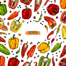 Hand Drawn Sketch Style Pepper Card. Bell Pepper, Chilli, Peas, Cayenne Pepper, Chopped Pepper. Color Background. 
