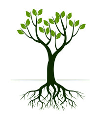 Green Spring Tree with Roots. Vector outline Illustration. Plant in garden.