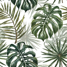 Watercolor Tropical Monstera And Palm Leaf Seamless Pattern. Exotic Green Plants And Leaves Repeat Print On White Background. Jungle Forest Hand Drawn Illustration. Summer Botanical Wallpaper.