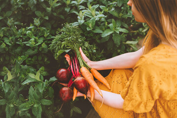 Vegetables harvest freshly picked from garden healthy lifestyle vegan food organic beet and carrot bunch eco friendly home grown woman gardening sustainability agriculture concept