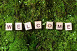 © klio_l - Word welcome. The word welcome is written on a background of moss. The letters on the wooden blocks add up to the word welcome. The view from the top