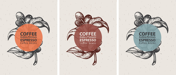 Coffee labels in retro style. Set of three vector labels for coffee beans with hand-drawn coffee sprig, coffee beans and the words Arabica premium, Espresso on an old paper background