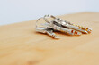 © Yuranan - Bunch of keys on a shaped keychain at wooden table background. Concept for real estate or renting home with copy space,Close up.