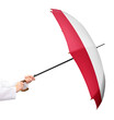 Person mit einem Regenschirm in den Händen und der Flagge von Polen, ein Mitgliedsstaat der Europäischen Union, isoliert.