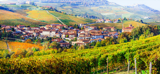 Canvas Print - Golden vineyards and picturesque village Barolo of Piedmont. famous wine region of northern Italy