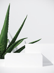 Minimal cosmetic background for product presentation. White podium and aloe vera plant with shadow of leaf. 3d render illustration. 