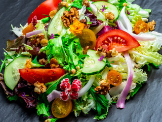 Wall Mural - Salad of different types of lettuce