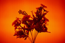 Simple Bouquet Of Bright Artificial Flowers Composed Against Illuminated Background With Orange Light