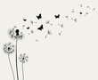 Dandelions and butterfly on the wall background