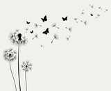 Fototapeta Dmuchawce - Dandelions and butterfly on the wall background