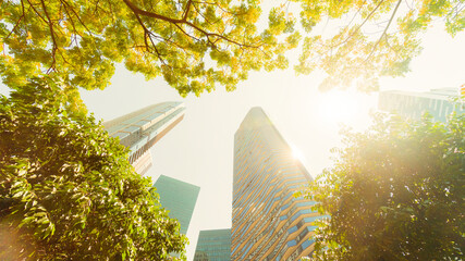 Wall Mural - perspective exterior pattern blue glass wall modern buildings with green tree leaves with sunlight in sunset.