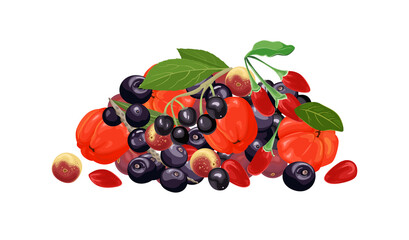 Wall Mural - Pile of different tropical berry. Acerola, maqui berry, acai and goji isolated on white background. Vector illustration in cartoon flat style.