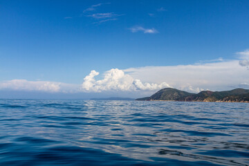 nature around the elba island