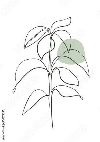 Tela A young sprout leaves of avocado tree line art