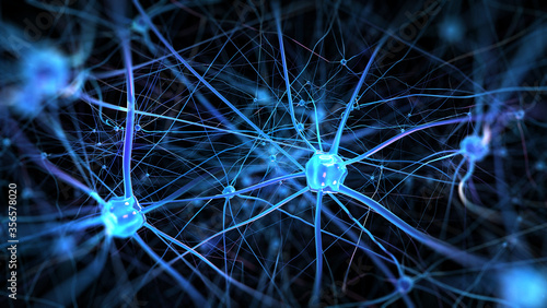 Fotografía Neurons and nervous system