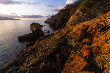 nature around the elba island