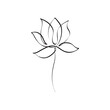 Hand drawn lotus flower line art illustration. Outline floral drawing. Water Lily vector design. Yoga concept