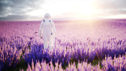 Wall Mural - Astronaut with butterflies in lavender field. concept of future. broadcast. 3d rendering.