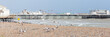 Flock of Seagulls on the Beach with Worthing Pier Behind