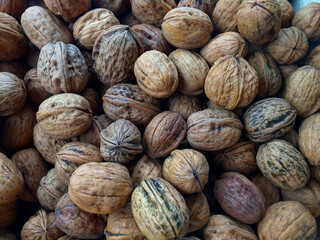 Raw walnuts with shell